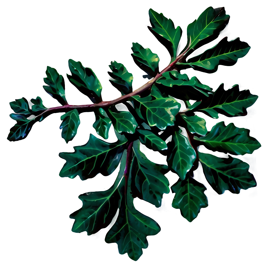 Oak Leaves Cluster Png Dgu PNG image