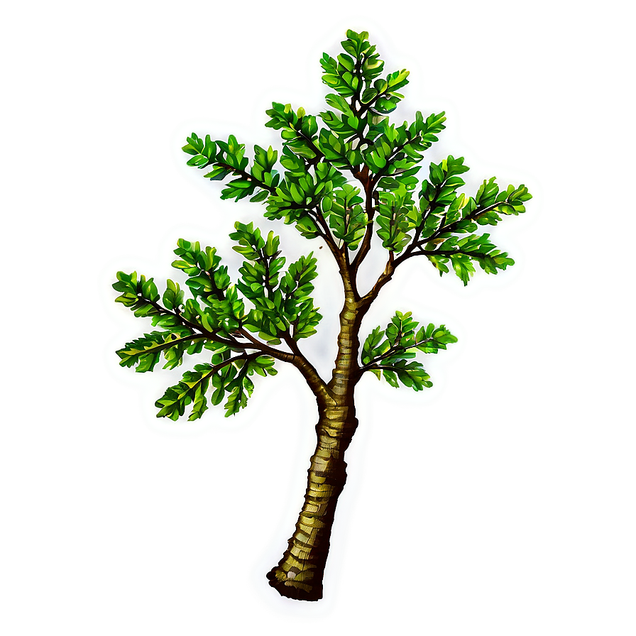 Oak Tree Branch Png 06262024 PNG image