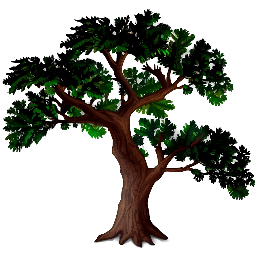 Oak Tree Shadow Png 99 PNG image