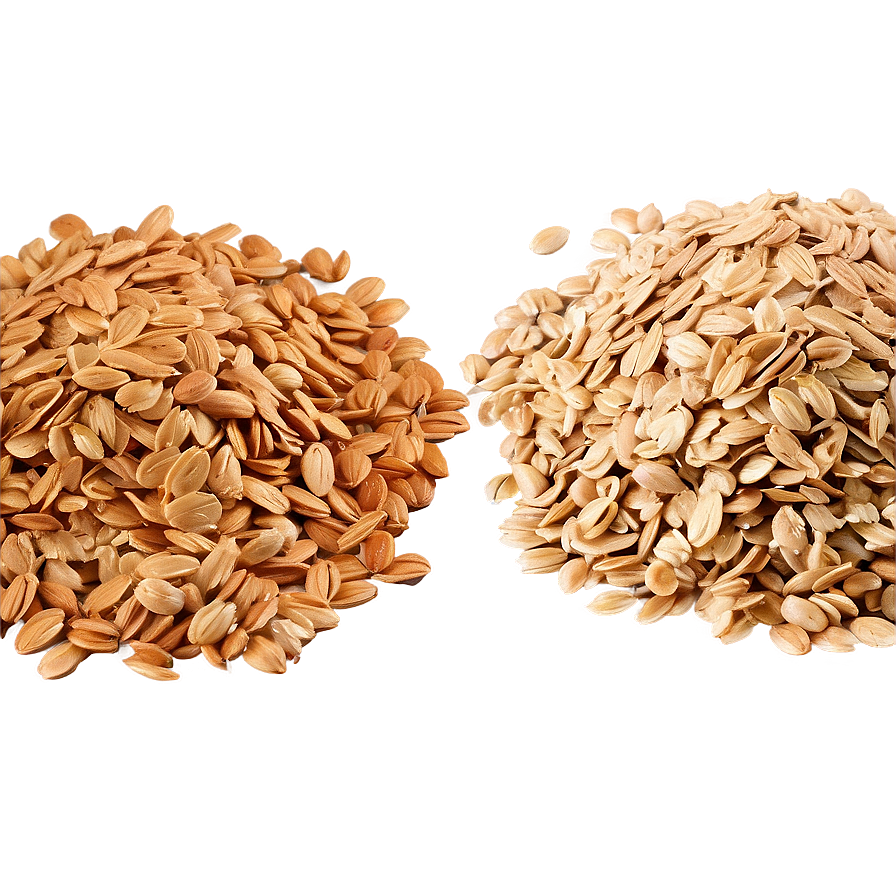 Oats Png Images (100++)