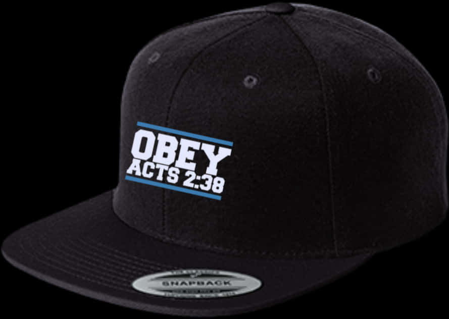 Obey Acts238 Snapback Cap PNG image