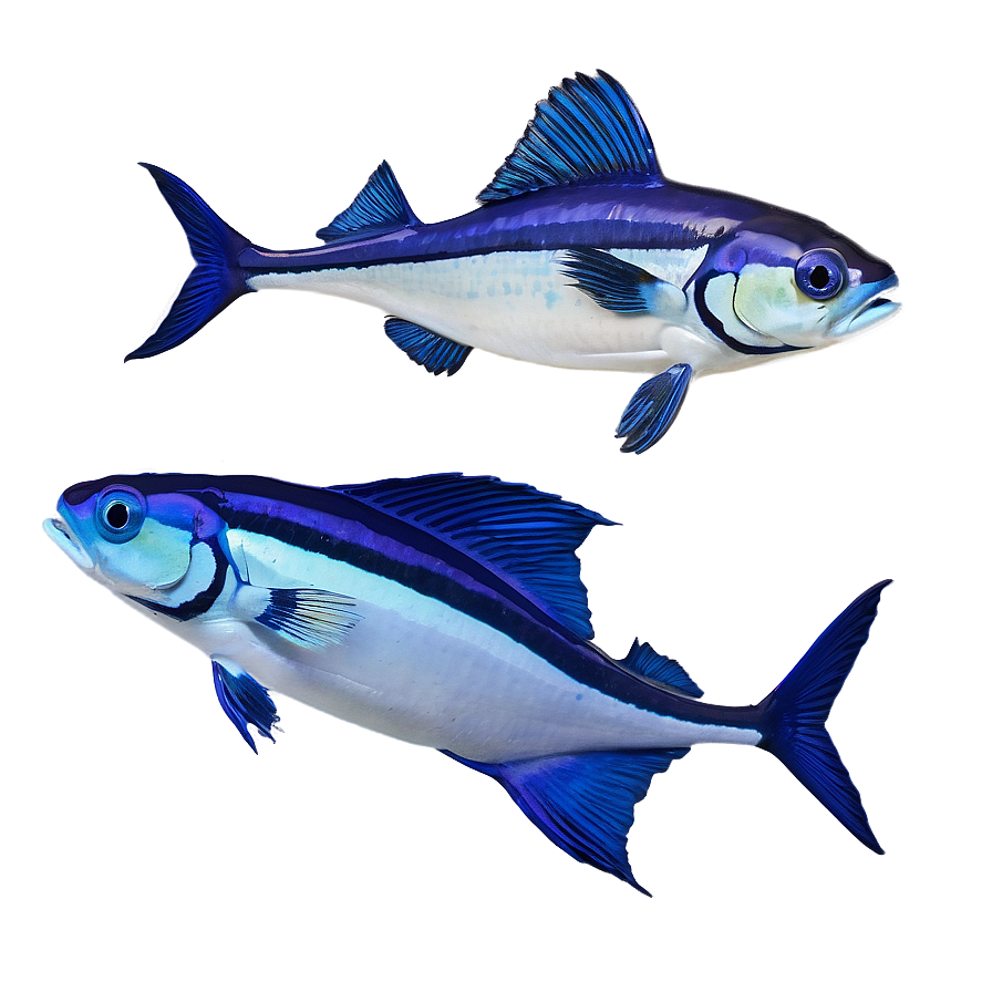 Ocean Fish School Png 5 PNG image