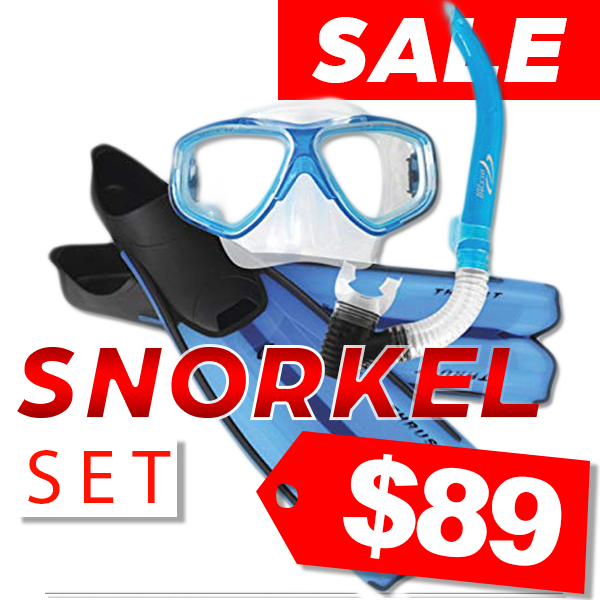 Ocean Pro Snorkel Set Sale89 Dollars PNG image