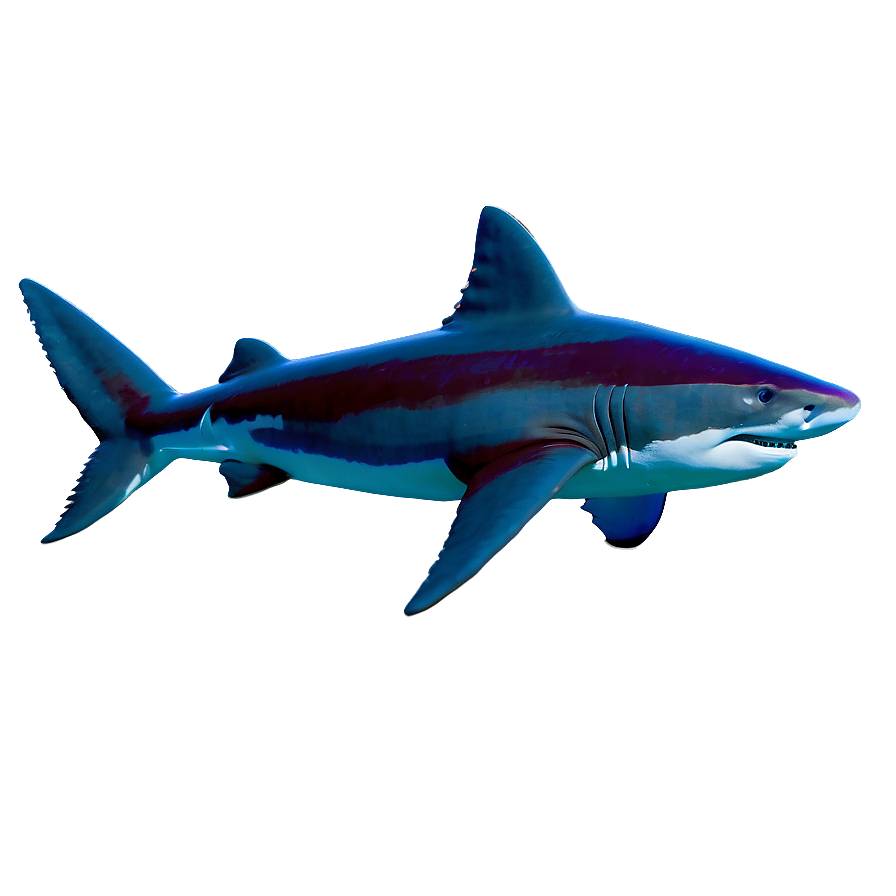 Ocean Shark Encounter Png 05212024 PNG image