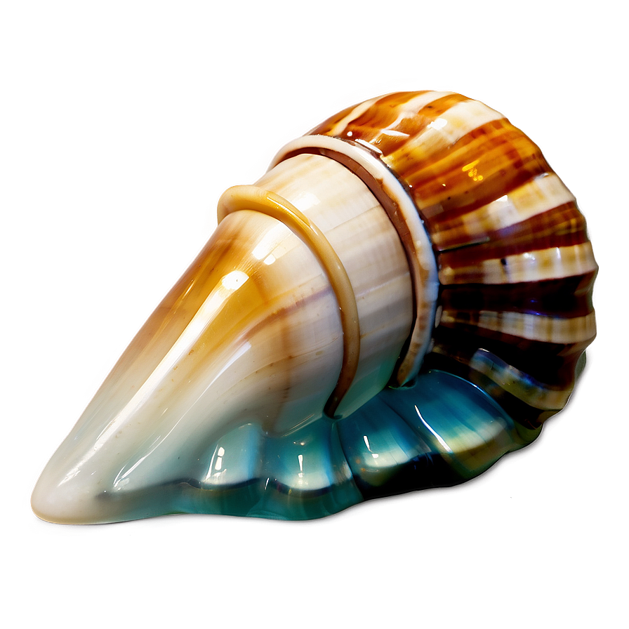 Ocean Shell Icon Png 05212024 PNG image