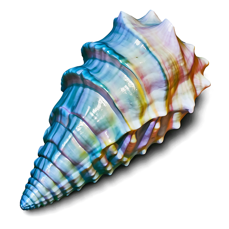 Ocean Themed Conch Shell Png 51 PNG image