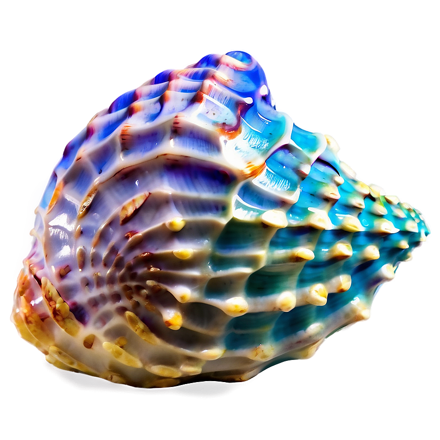 Ocean Themed Conch Shell Png Agh52 PNG image