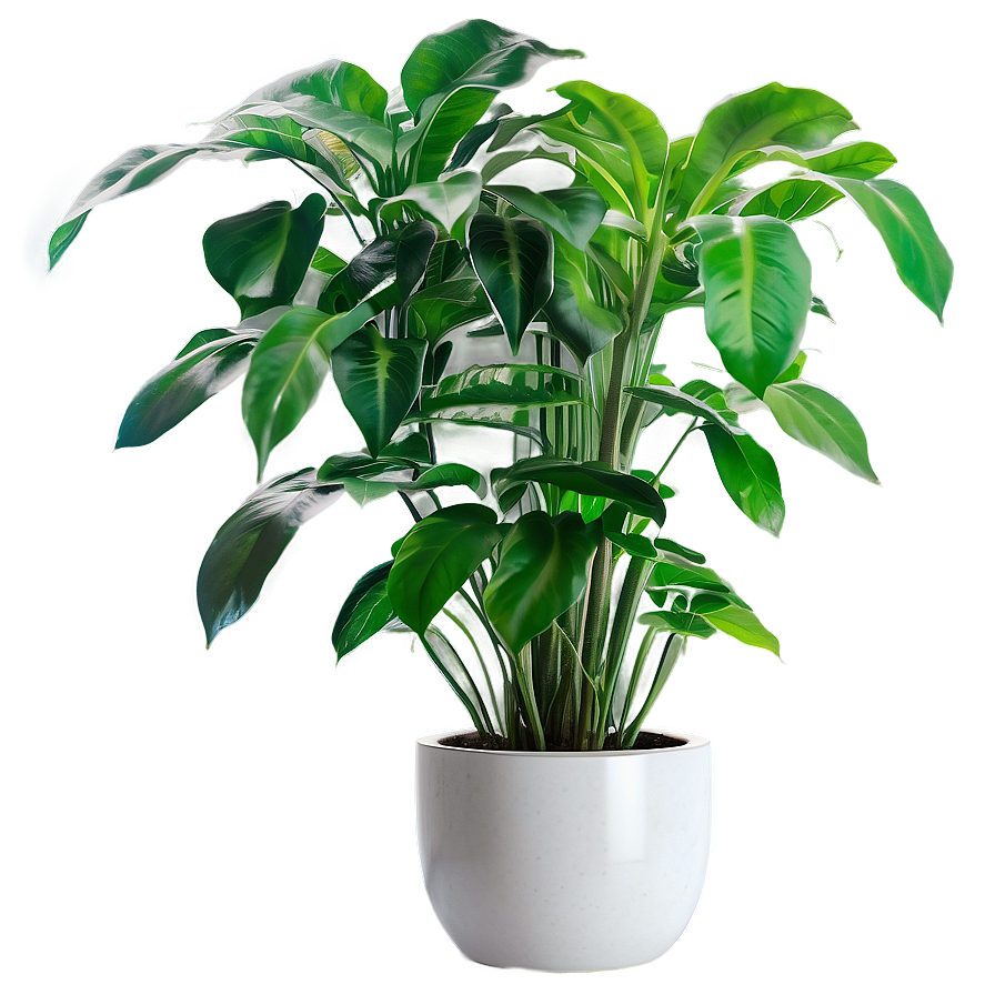 Office Floor Plant Png Mmq59 PNG image