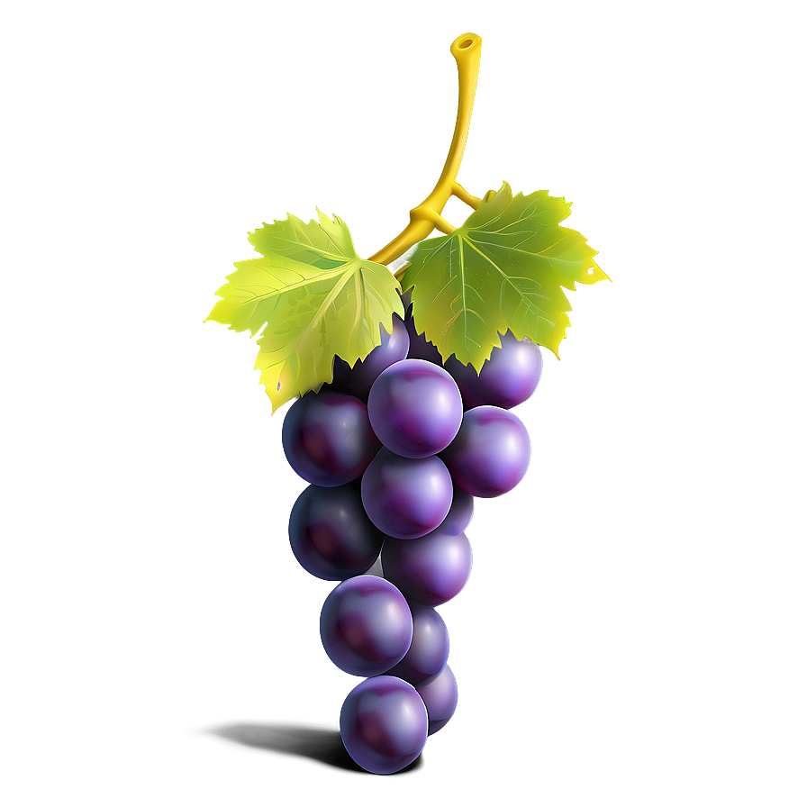 One Grape Icon Png 06292024 PNG image