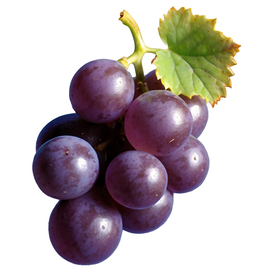 One Grape Icon Png 06292024 PNG image