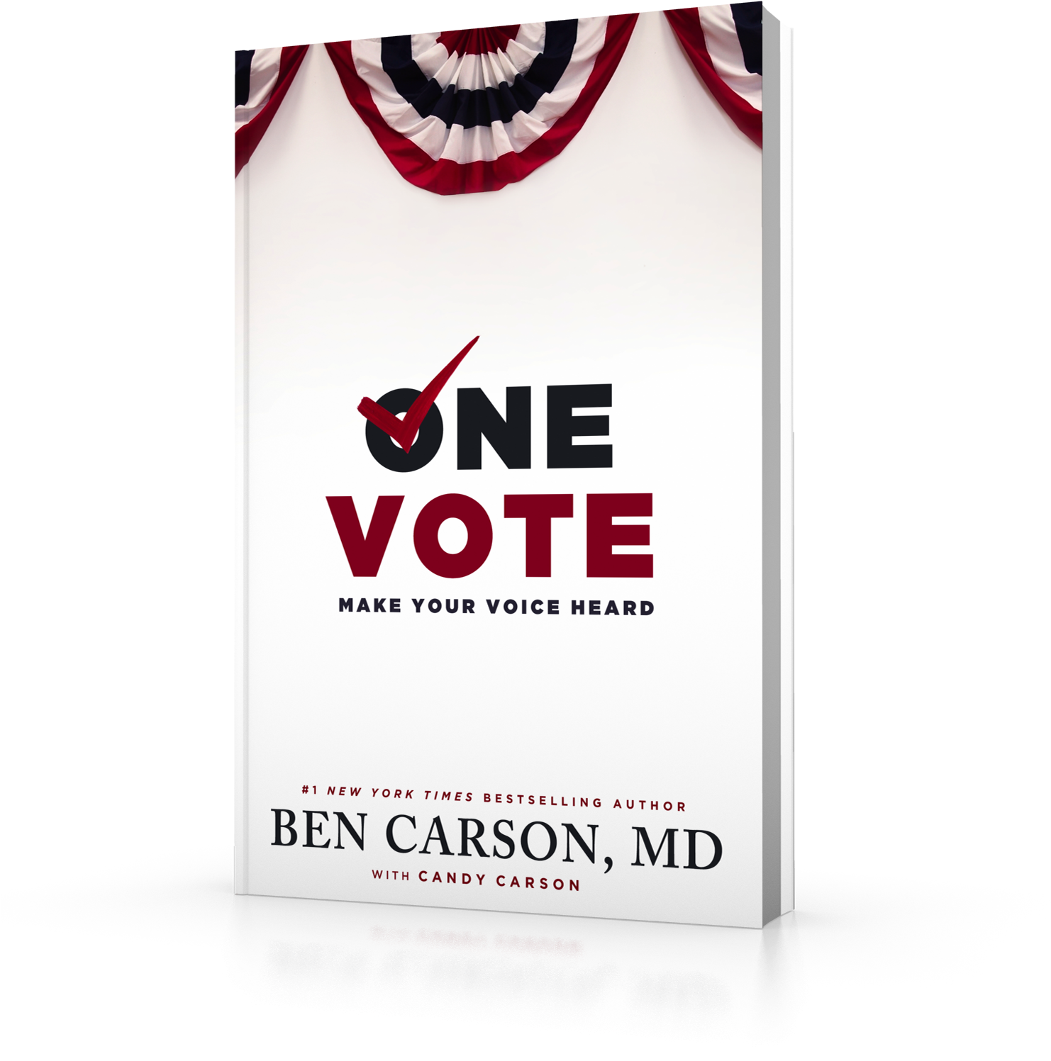 One Vote Book Cover PNG image