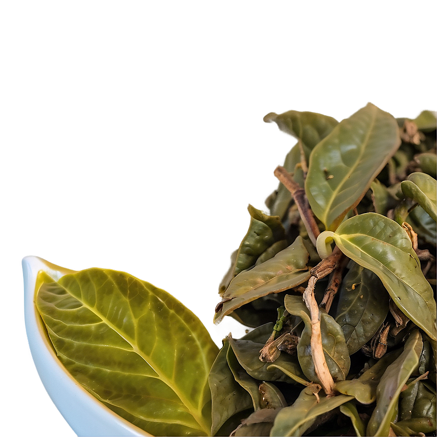 Oolong Tea Leaf Png 46 PNG image