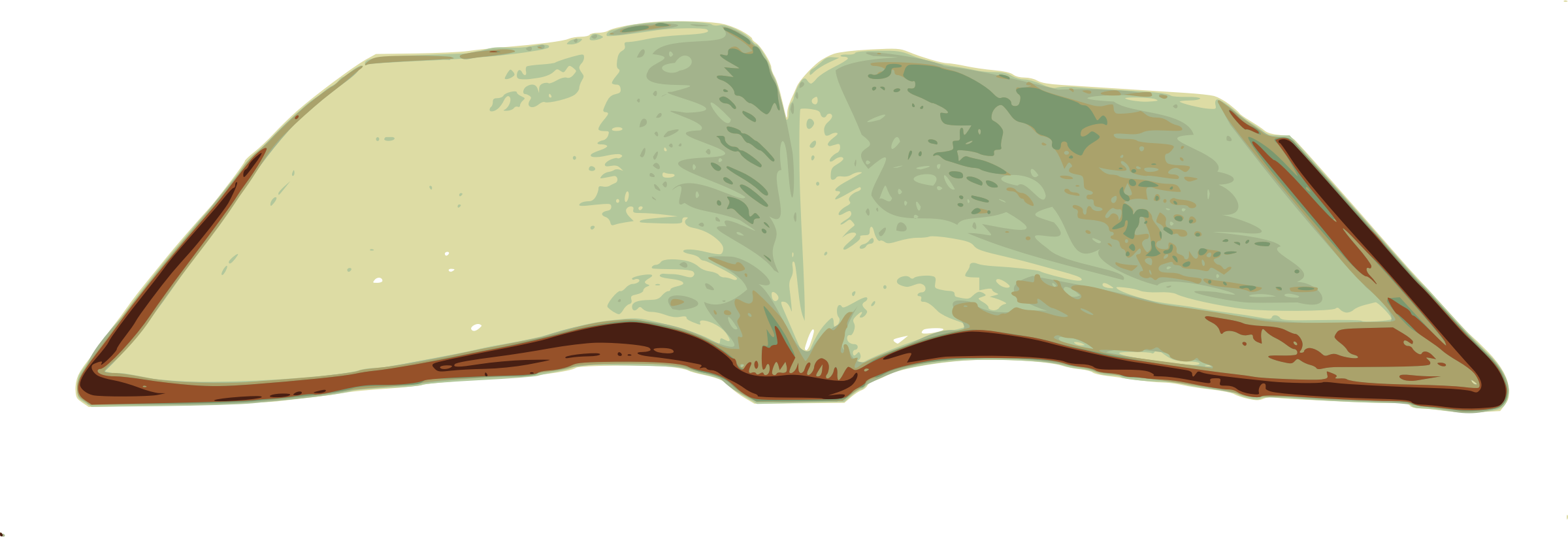 Open Bible Illustration PNG image