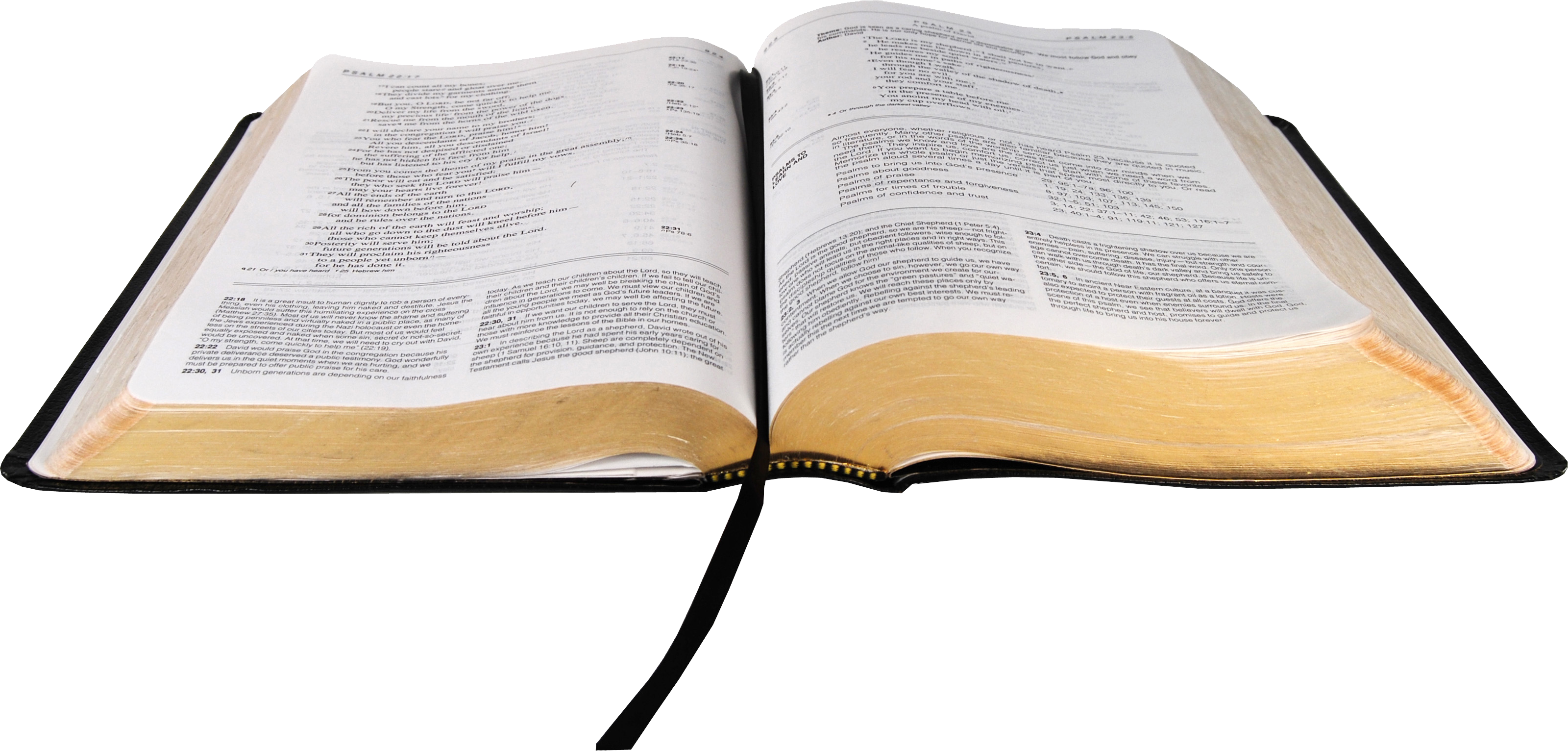 Open Bibleon Table PNG image