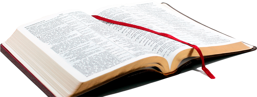 Open Biblewith Red Bookmark PNG image