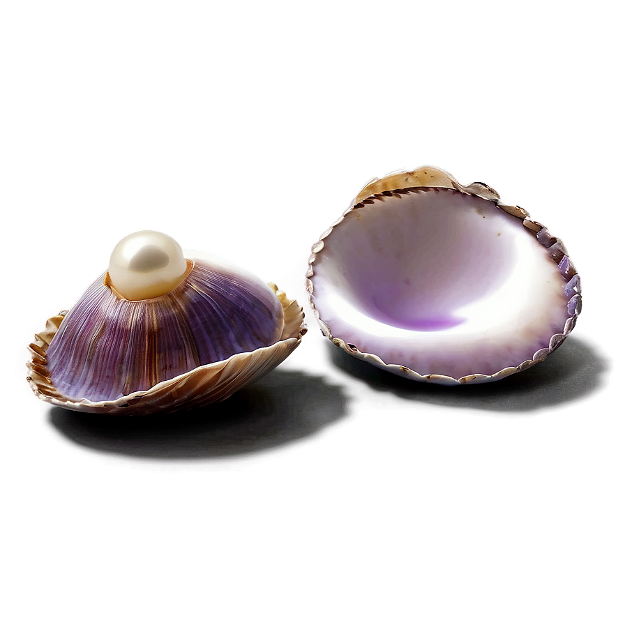 Open Clam With Pearl Png Beo37 PNG image