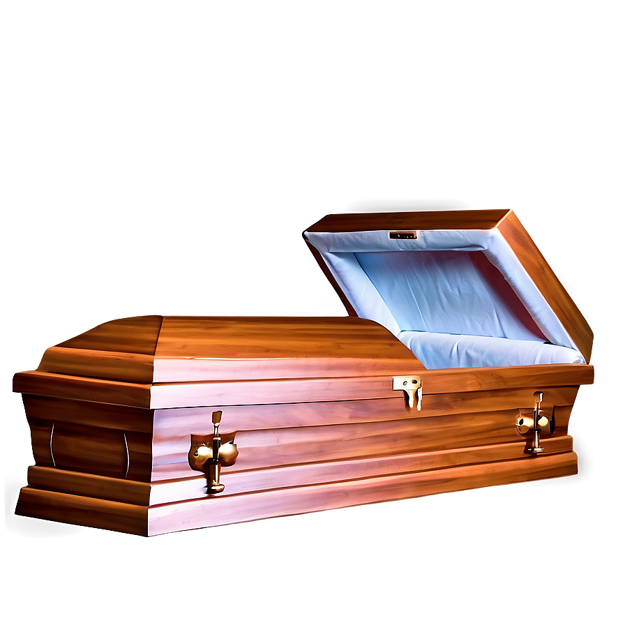 Open Coffin Cartoon Png Dqv PNG image