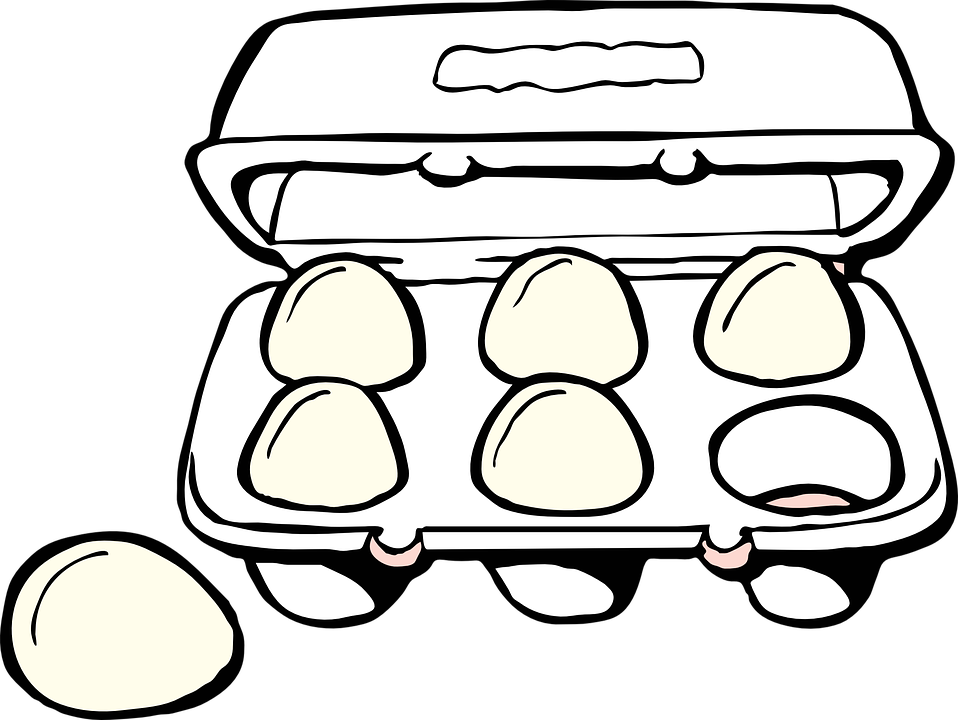 Open Egg Carton Illustration PNG image