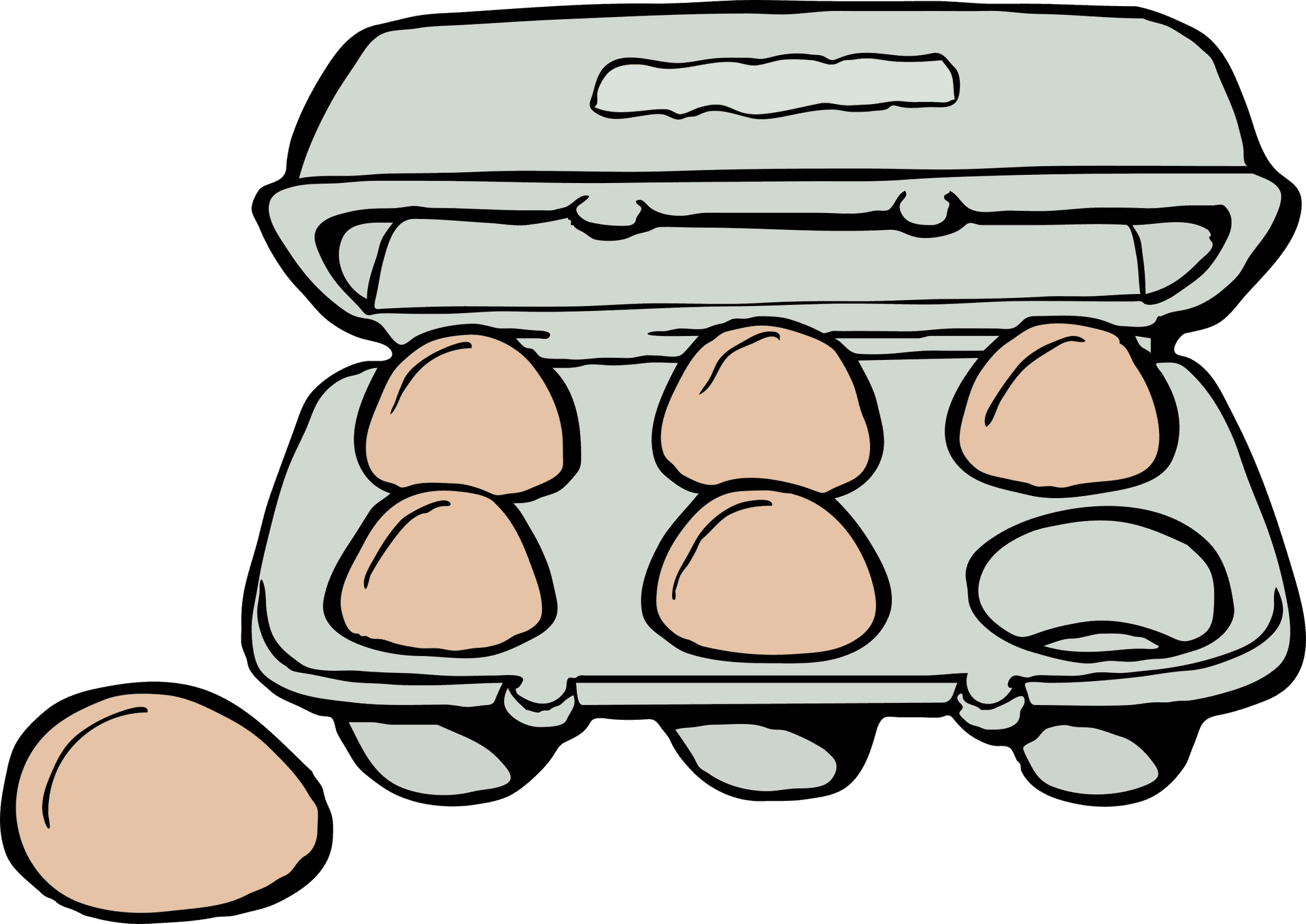 Open Egg Carton With One Egg Missing PNG image