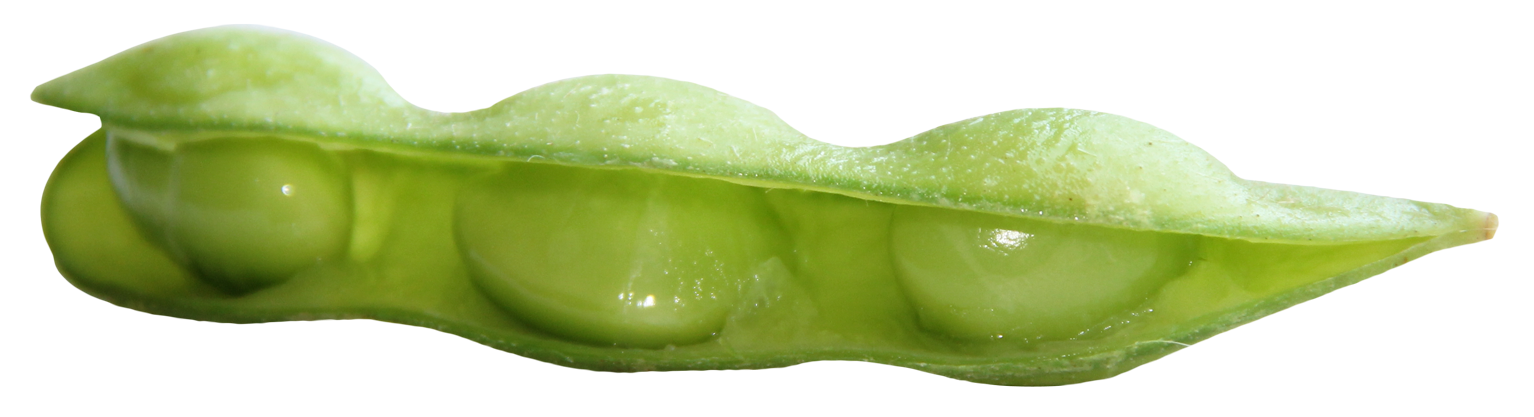 Open Green Pea Pod PNG image