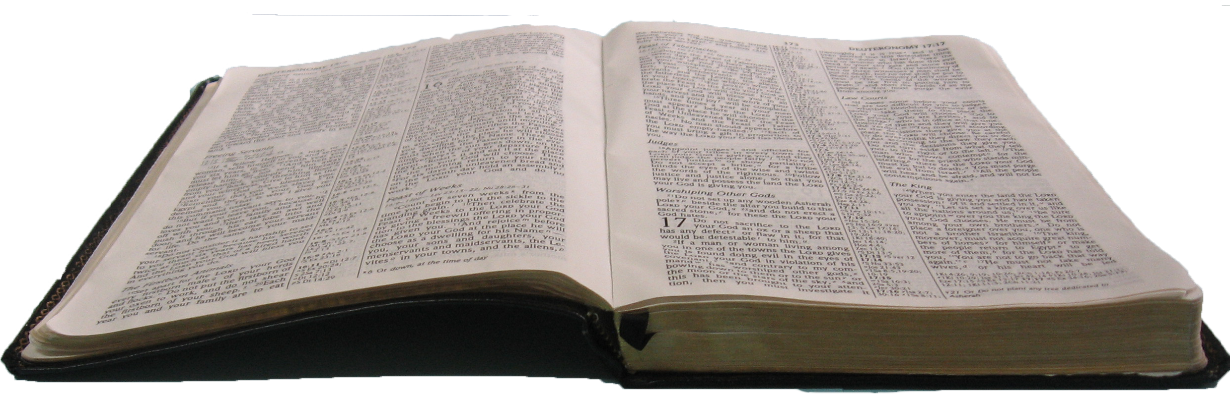 Open Holy Bible Transparent Background PNG image