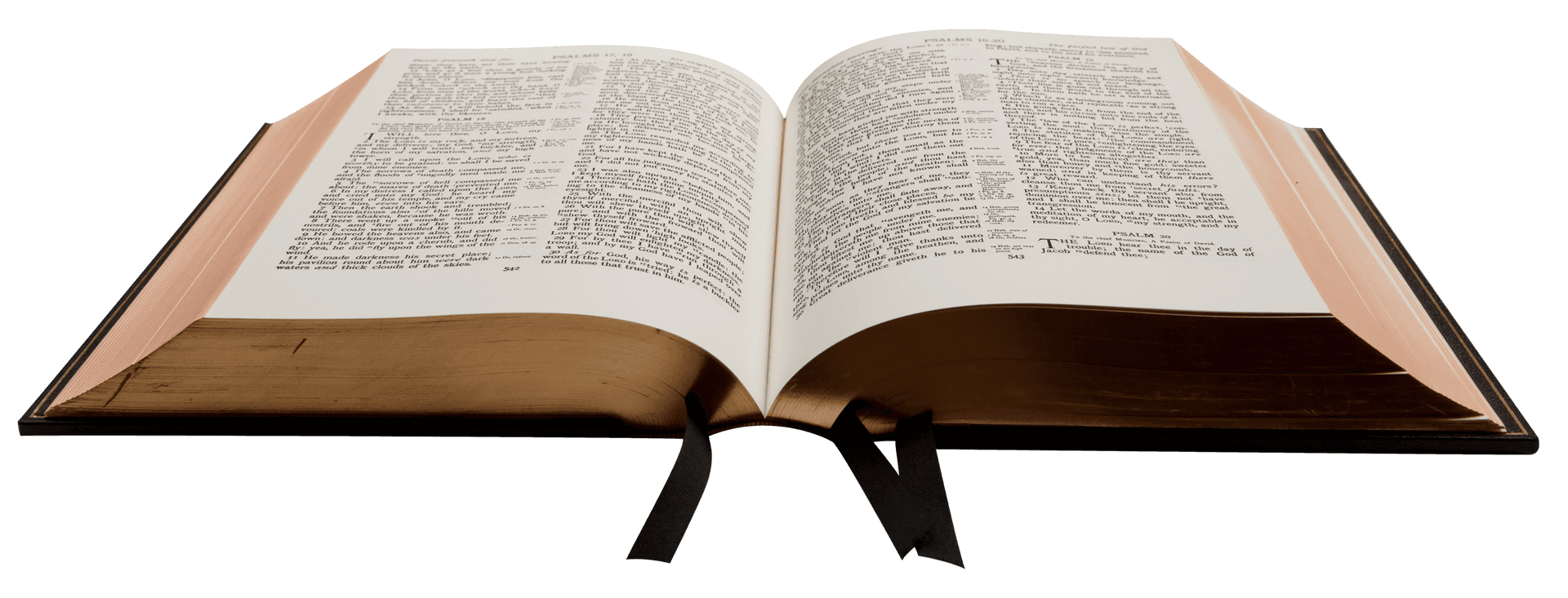 Open Holy Bible PNG image