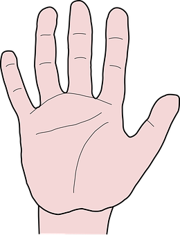 Open Palm Hand Illustration PNG image