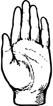 Open Palm Hand Silhouette PNG image
