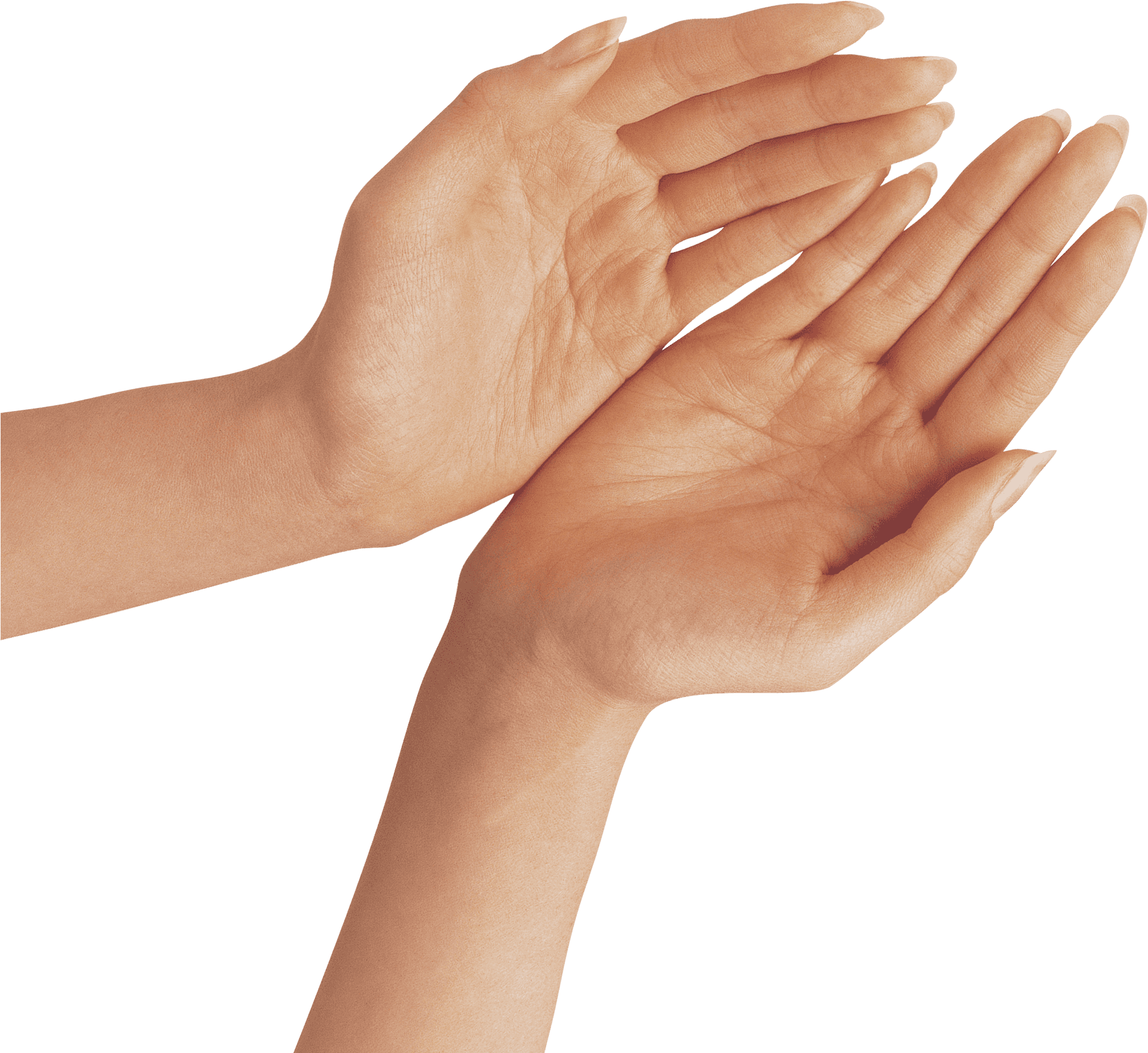 Open Palms Hand Gesture Clipart PNG image