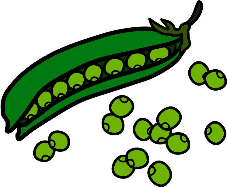 Open Pod Peas Illustration PNG image