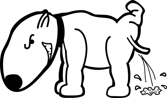 Optical Illusion Dog Or Elephant PNG image