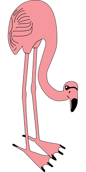 Optical Illusion Flamingo PNG image