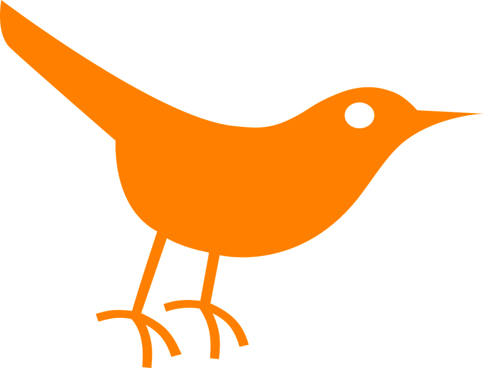 Orange Bird Silhouette PNG image