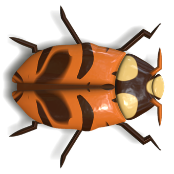 Orange Black Ladybug Illustration PNG image