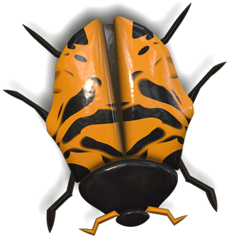 Orange Black Ladybug Illustration PNG image