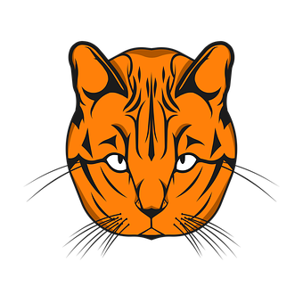 Orange Black Tiger Face Graphic PNG image