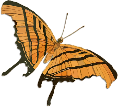 Orange Butterfly Illustration.png PNG image