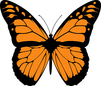 Orange Butterfly Rorschach Inkblot PNG image