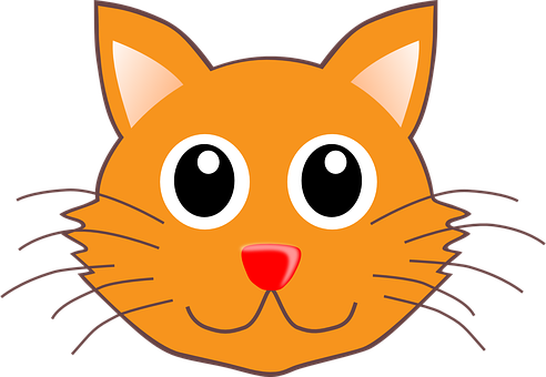 Orange Cartoon Cat Face PNG image