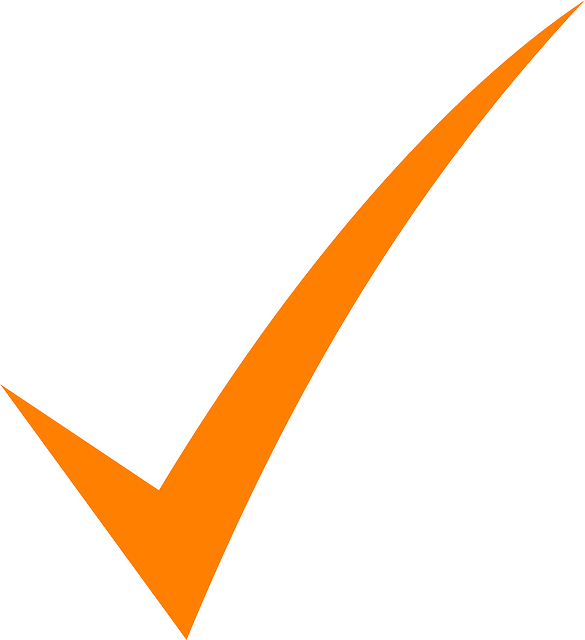 Orange Check Mark Png, Transparent Png PNG image