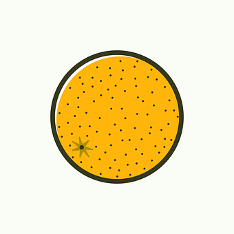 Orange Circle Vector Illustration PNG image