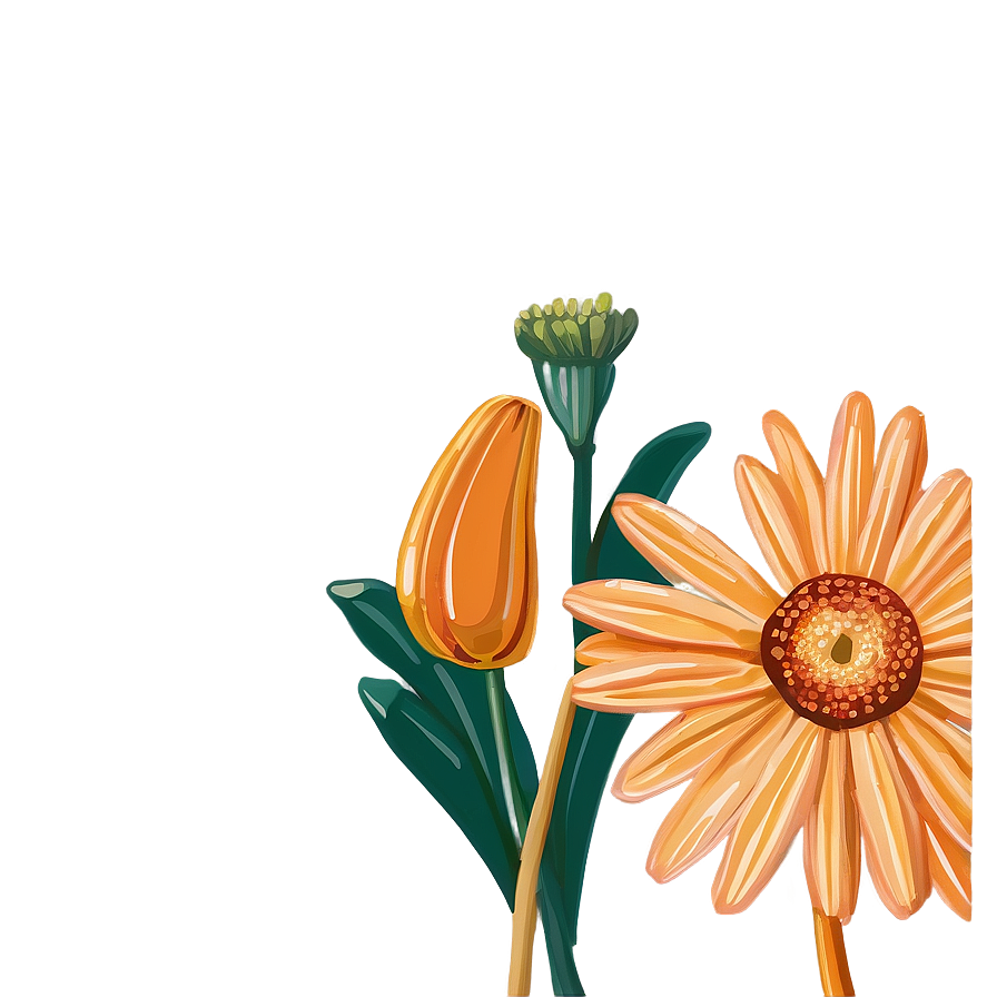 Orange Daisy Illustration Png 06122024 PNG image