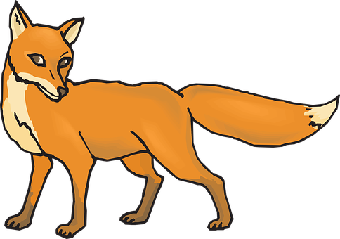 Orange Fox Illustration PNG image
