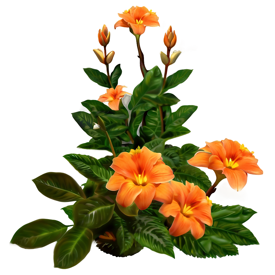 Orange Garden Flower Png Adm52 PNG image