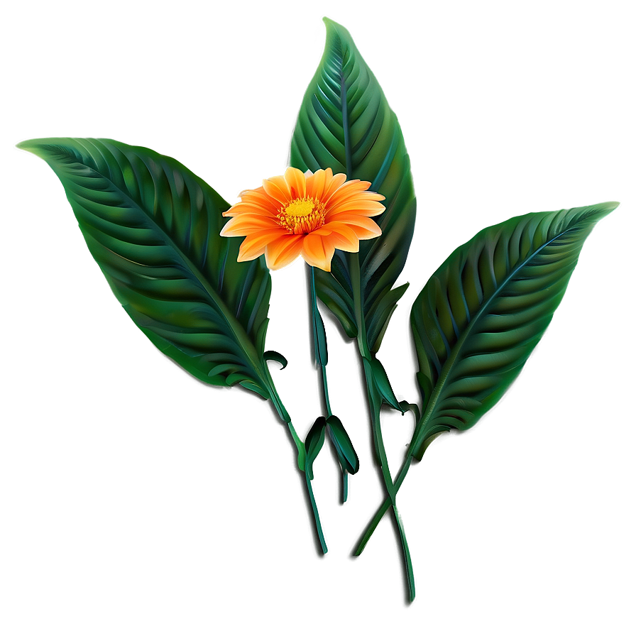 Orange Garden Flower Png Uqn52 PNG image