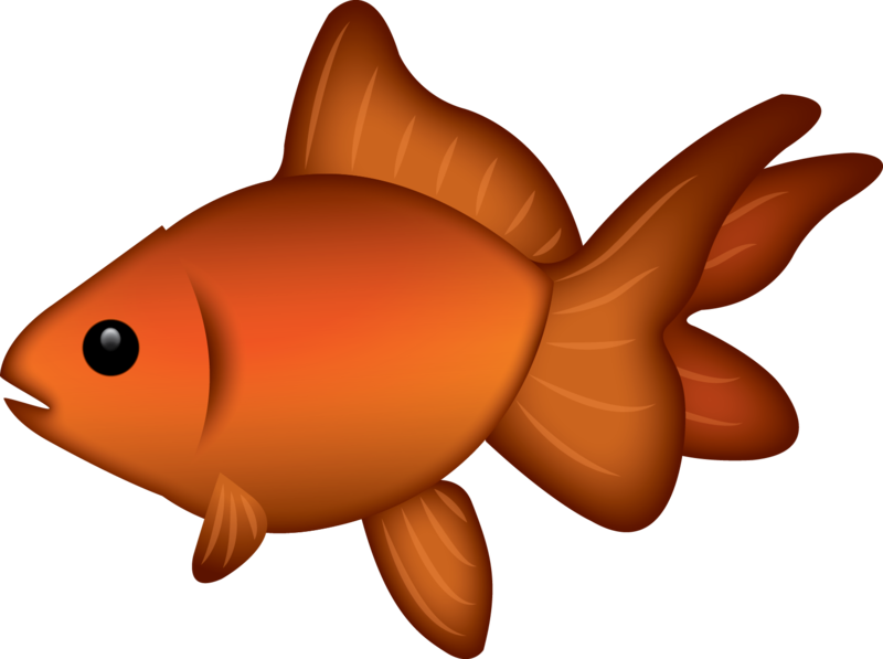 Orange Goldfish Cartoon Illustration PNG image