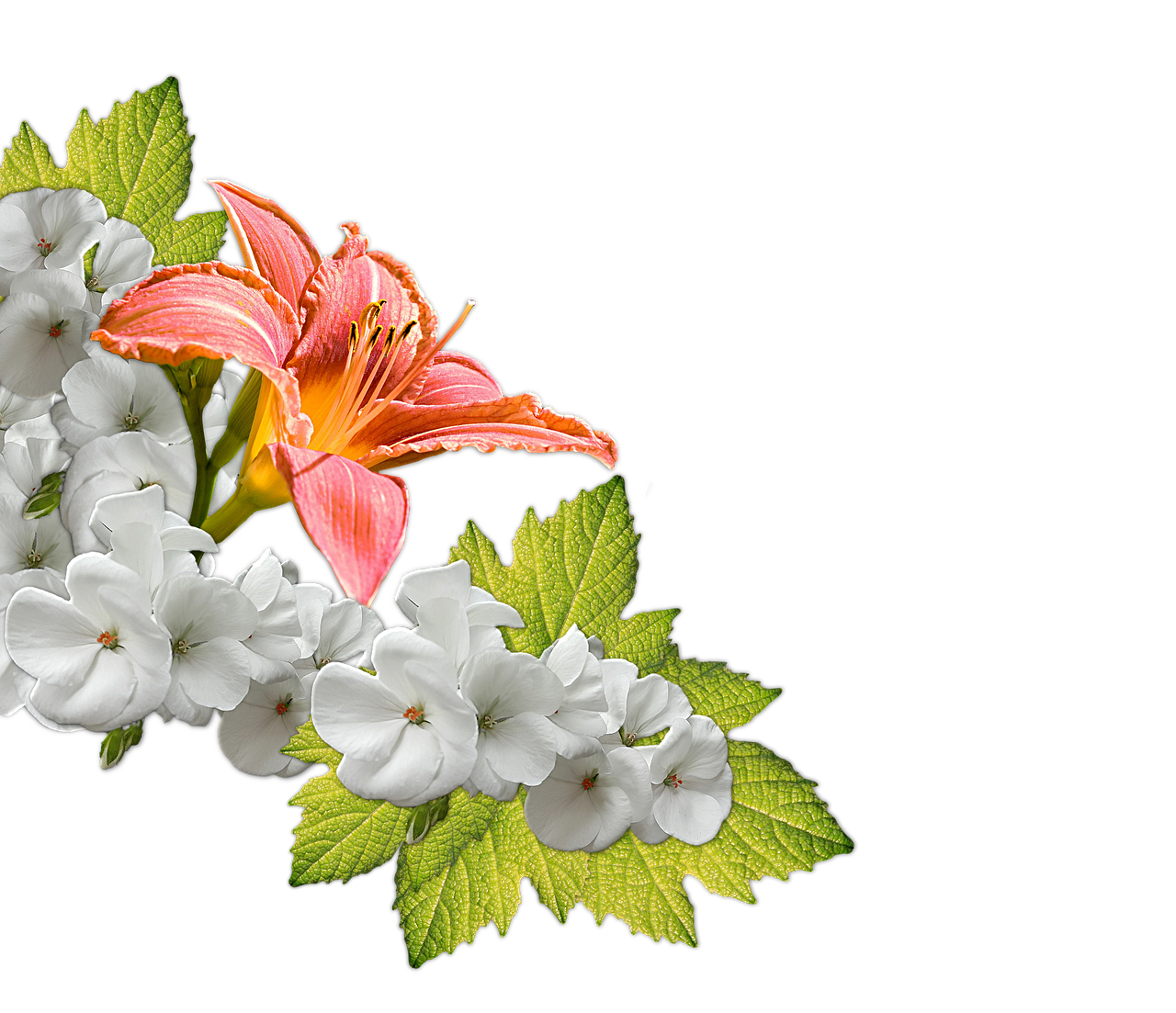 Orange Lily White Flowers Arrangement PNG image