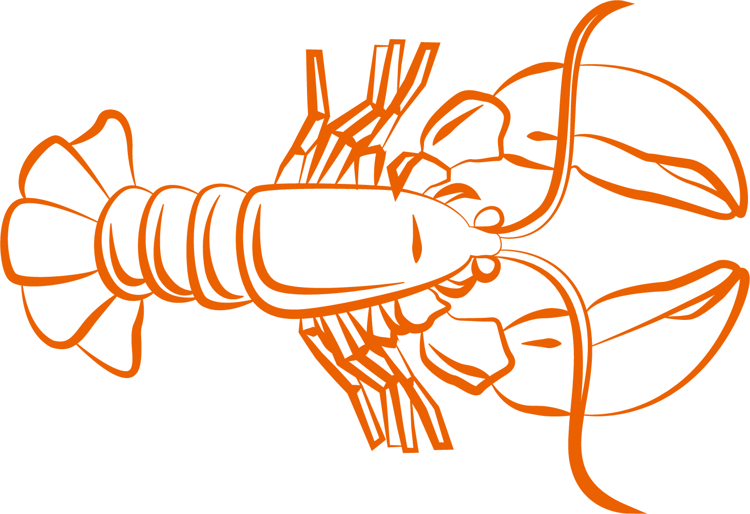 Orange Lobster Illustration PNG image