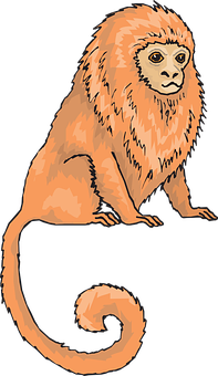 Orange Monkey Illustration PNG image