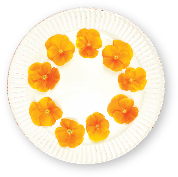 Orange Morning Glory Flowerson Plate PNG image